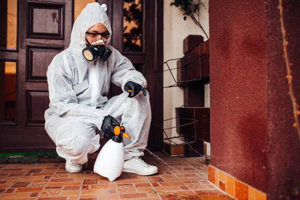 Reliable Ant Control contractor in Winnsboro, LA by Nex Pest Control