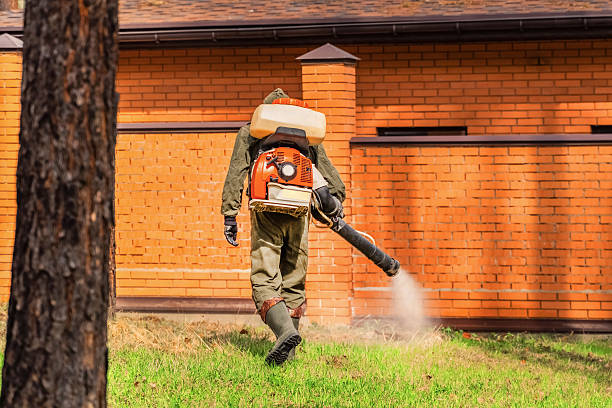 Trusted Ant Control service in Winnsboro, LA - Nex Pest Control